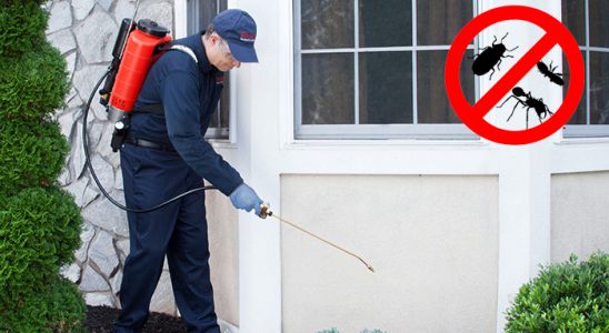 Dörtyol Akrep İlaçlama böcek ilaçlama ve haşere kontrolü — ilaclama-tr.com